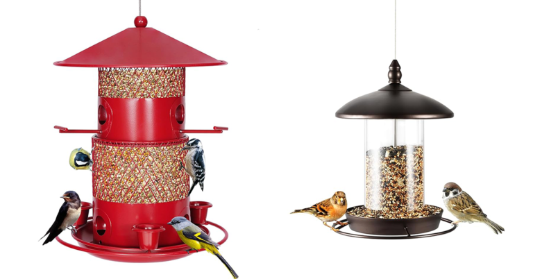 Top 10 Best Bird Feeders For Your Garden