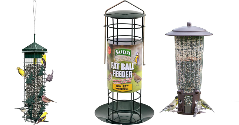 Hanging feeders will increase bird traffic in your home