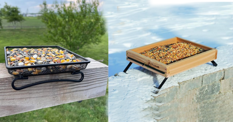 Invite birds into your home with Ground Feeders