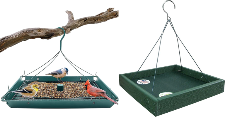 The Best Platform Feeders for Your Birds