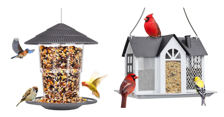 bird feeder