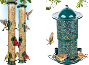 bird feeder